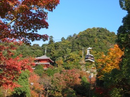 秋の三重塔