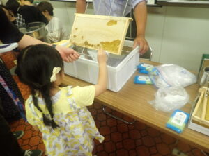 巣蜜から蜂蜜を食べる
