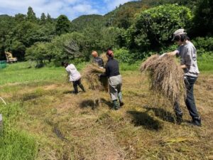 刈草を集める様子