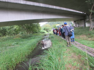 達目洞自然観察